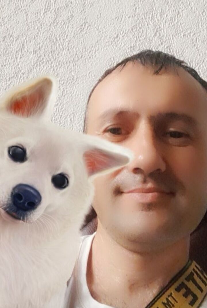  ,   , 42 ,   