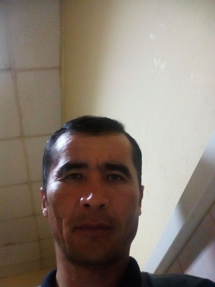  7630988  , 49 ,    -