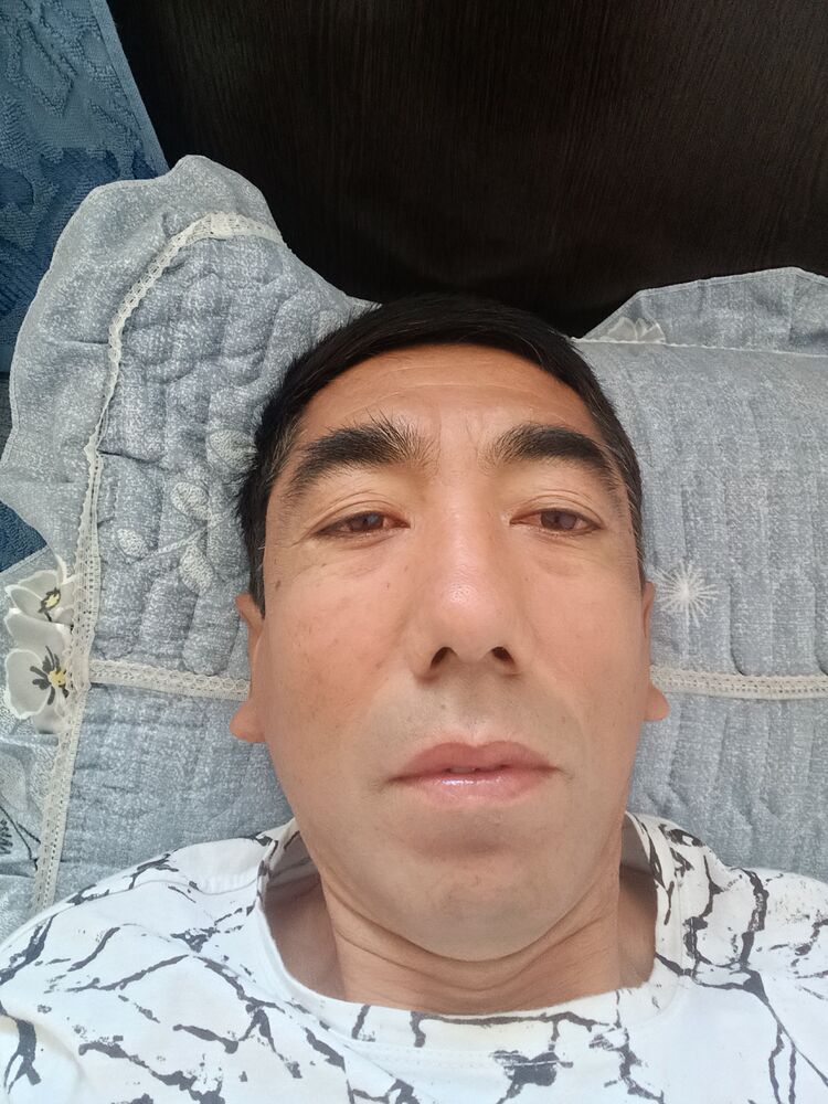  41284498  , 46 ,    