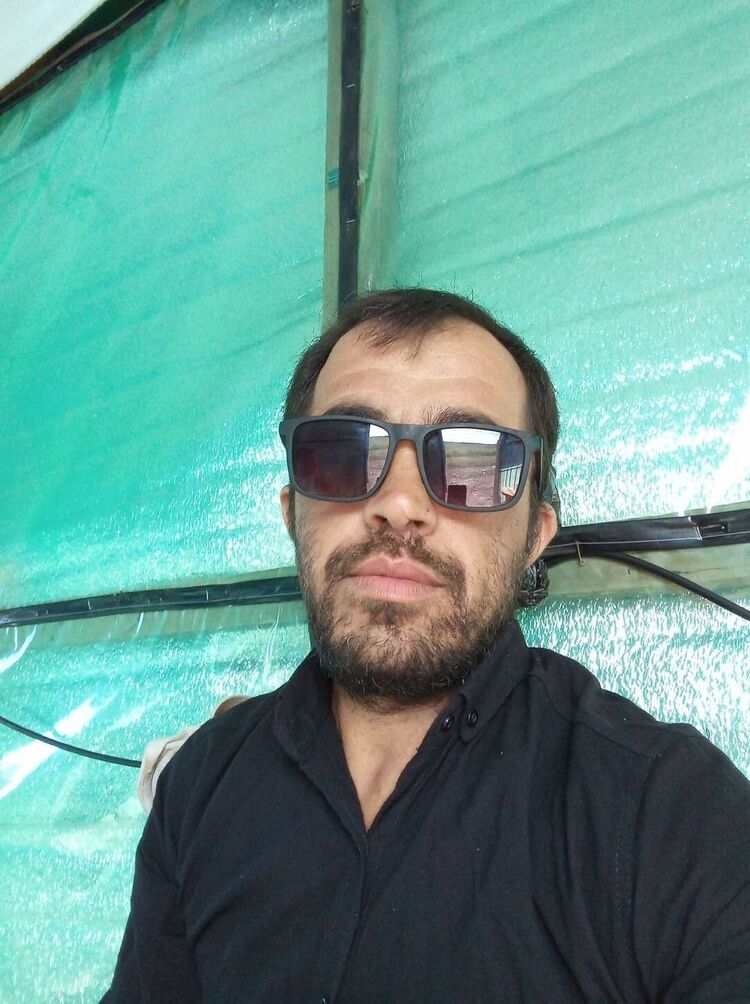  -,    , 37 ,   ,   