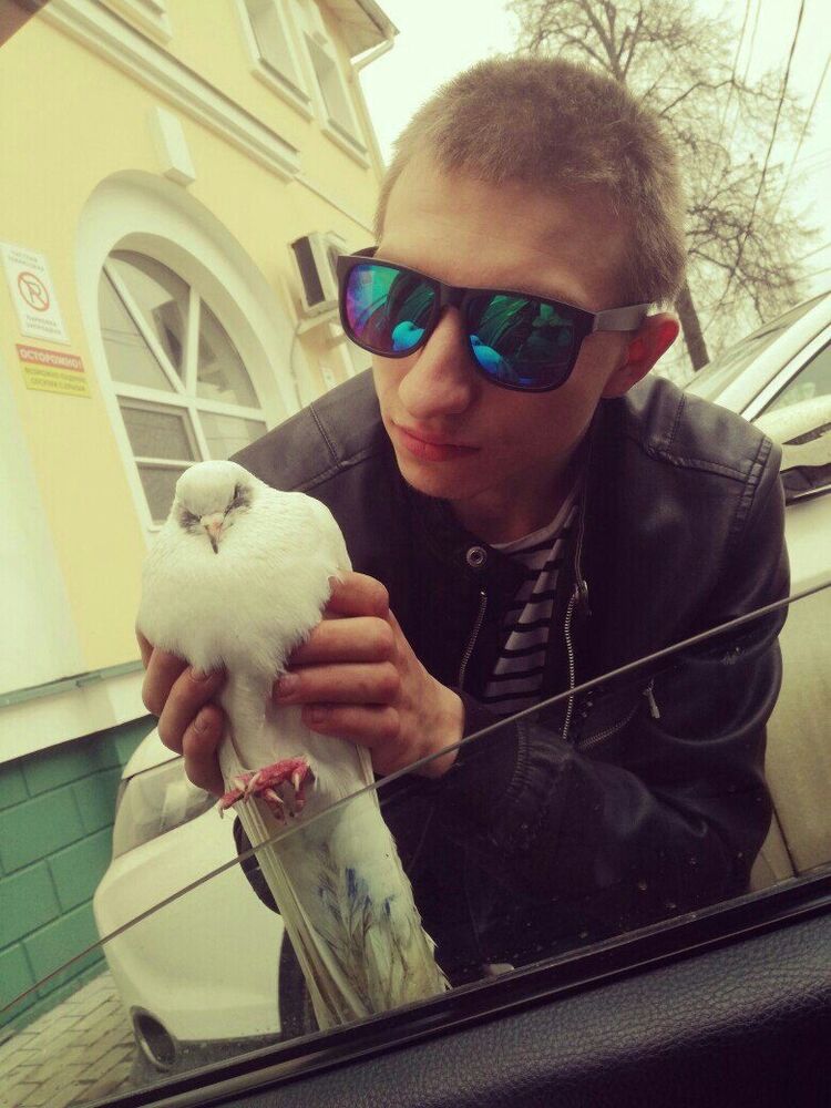 ���������� �������, ���� ������� ������, 29 ���, ������������ ��� ������, ����� � ���������