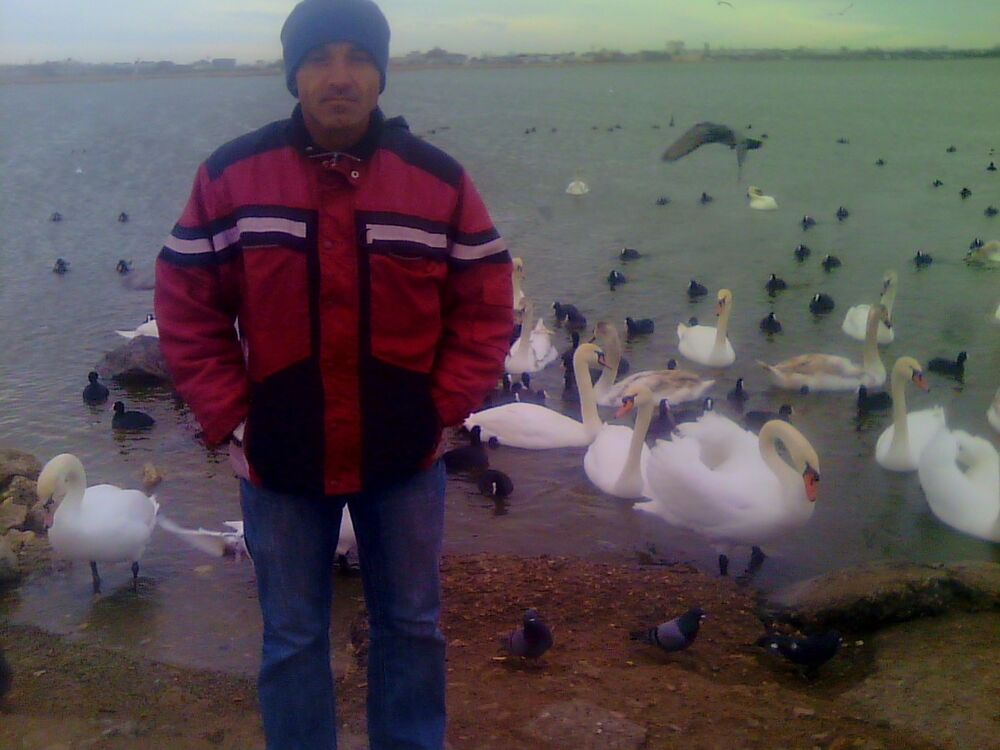 ���������� ���������, ���� ������� �����, 53 ����, ������������ ��� ������