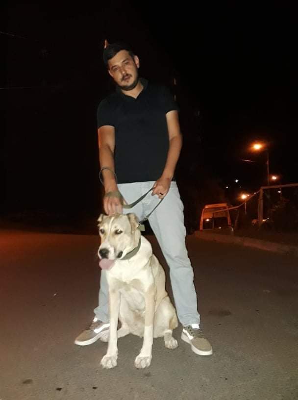 ���� 33976118 ������� Zura, 31 ���, ���� ���������� � ������