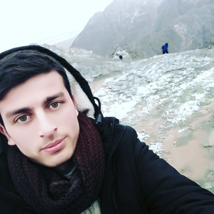 ���� 15408678 ������� �����, 31 ���, ���� ���������� � �������������