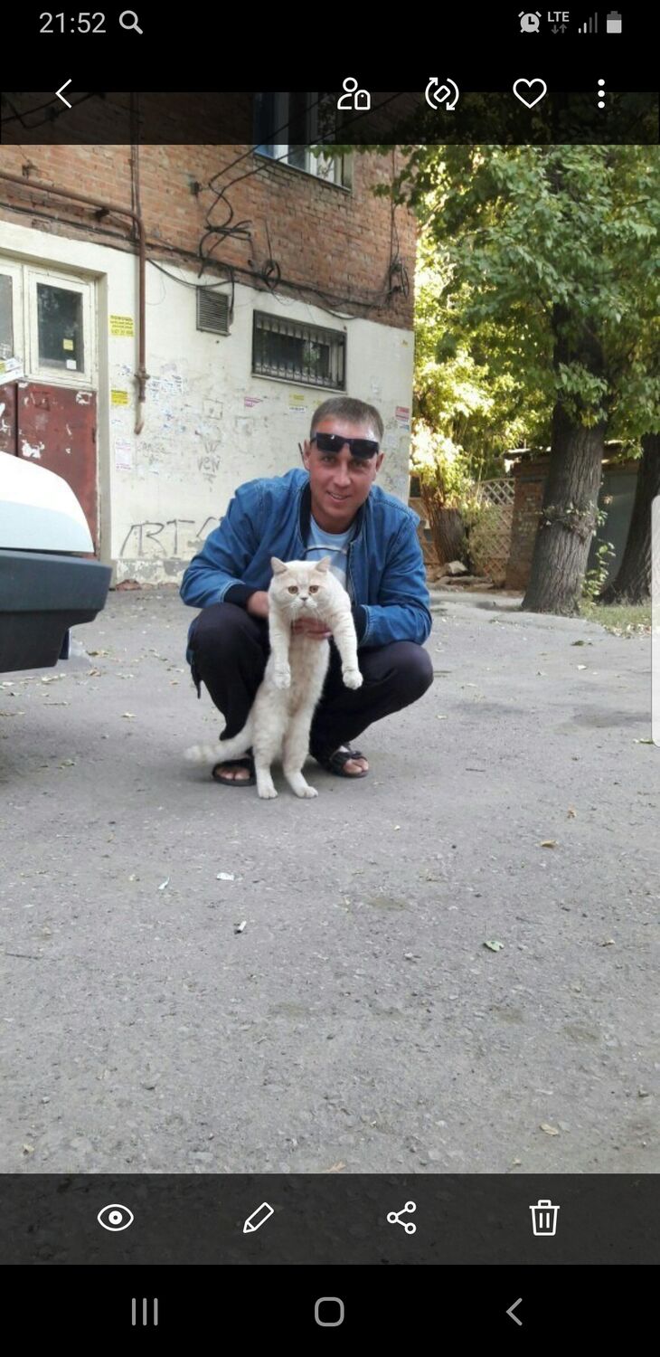  48175368  , 41 ,    