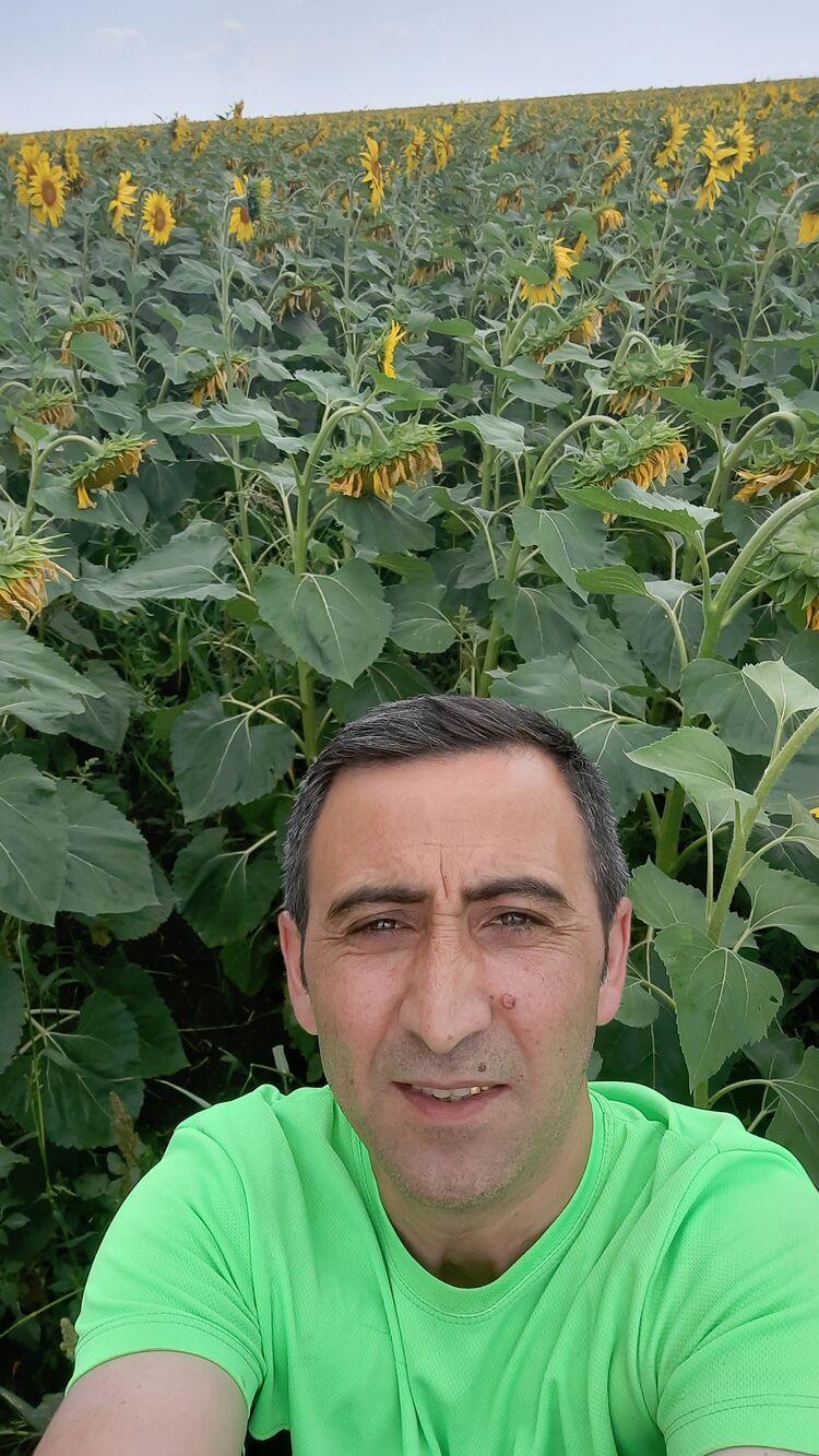  ,   , 48 ,   ,   