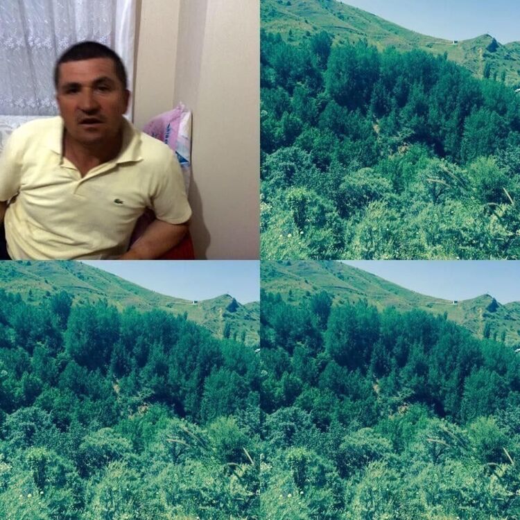 ���� 36520018 ������� TURAN, 50 ���, ���� ���������� � ������