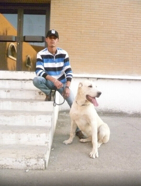 ���������� ���������, ���� ������� �������, 34 ����, ������������ ��� ������, ����� � ���������, c�������� ���������