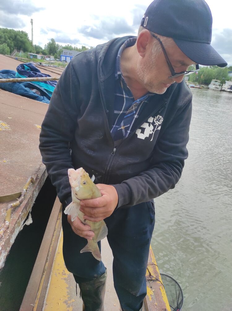  ,   , 57 ,   ,   