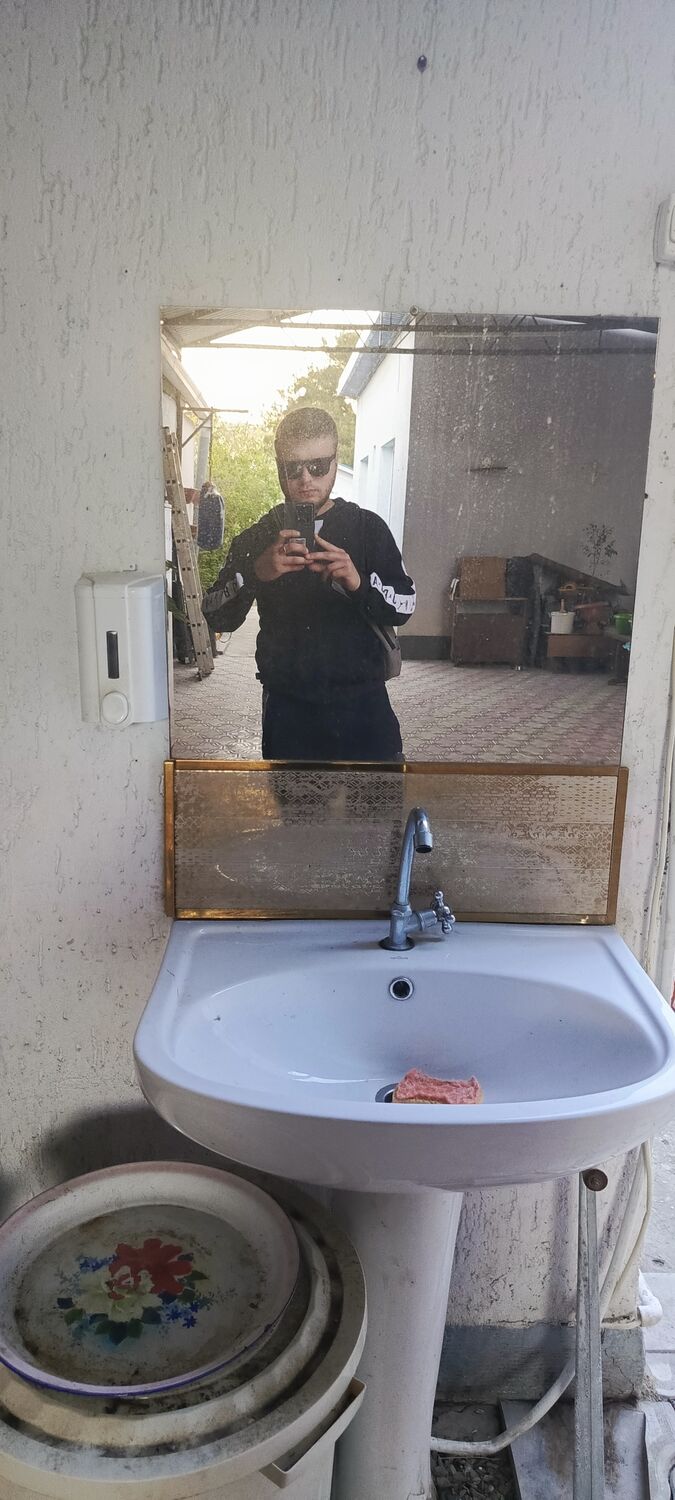  43875288  , 24 ,    
