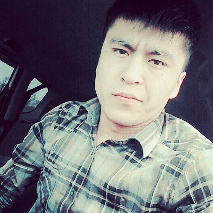  9502688  , 29 ,    