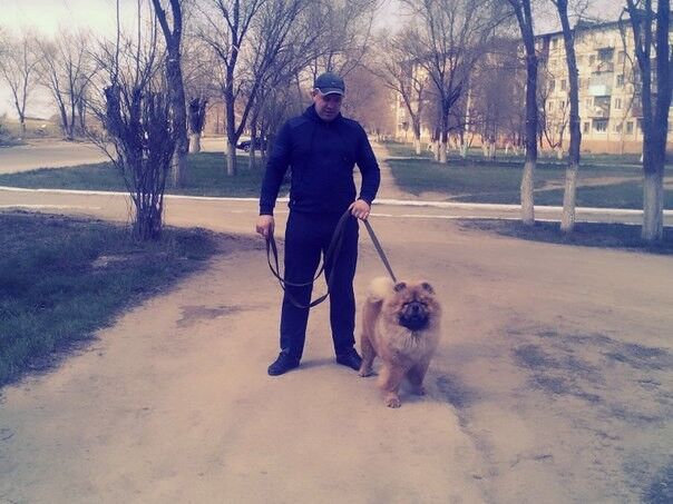 ���� 11305508 ������� �������, 41 ���, ���� ���������� � ������