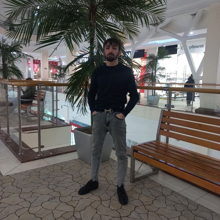 ���� 33762028 ������� ������, 31 ���, ���� ���������� � ���������