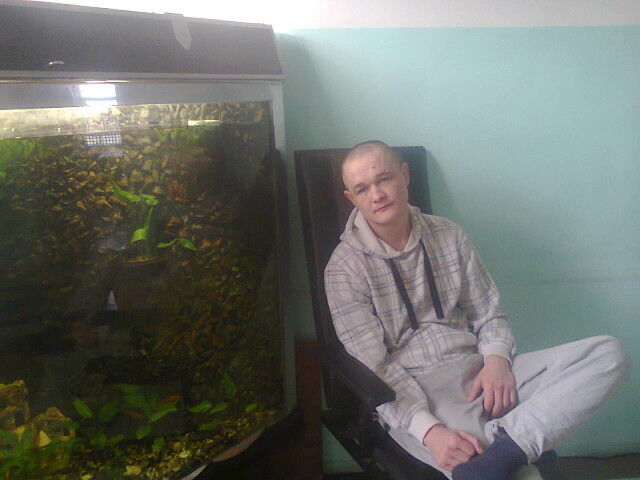 ���������� ����, ���� ������� ����, 36 ���, ������������ ��� ������, ����� � ���������, c�������� ���������