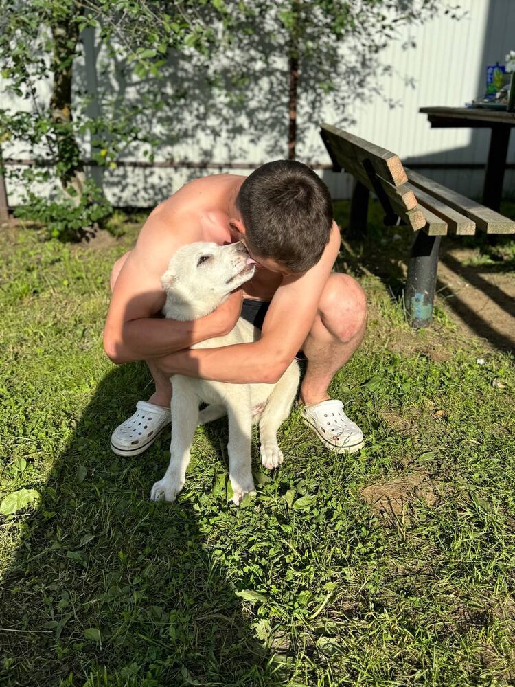 ���������� ������, ���� ������� �������, 28 ���, ������������ ��� ������, ����� � ���������