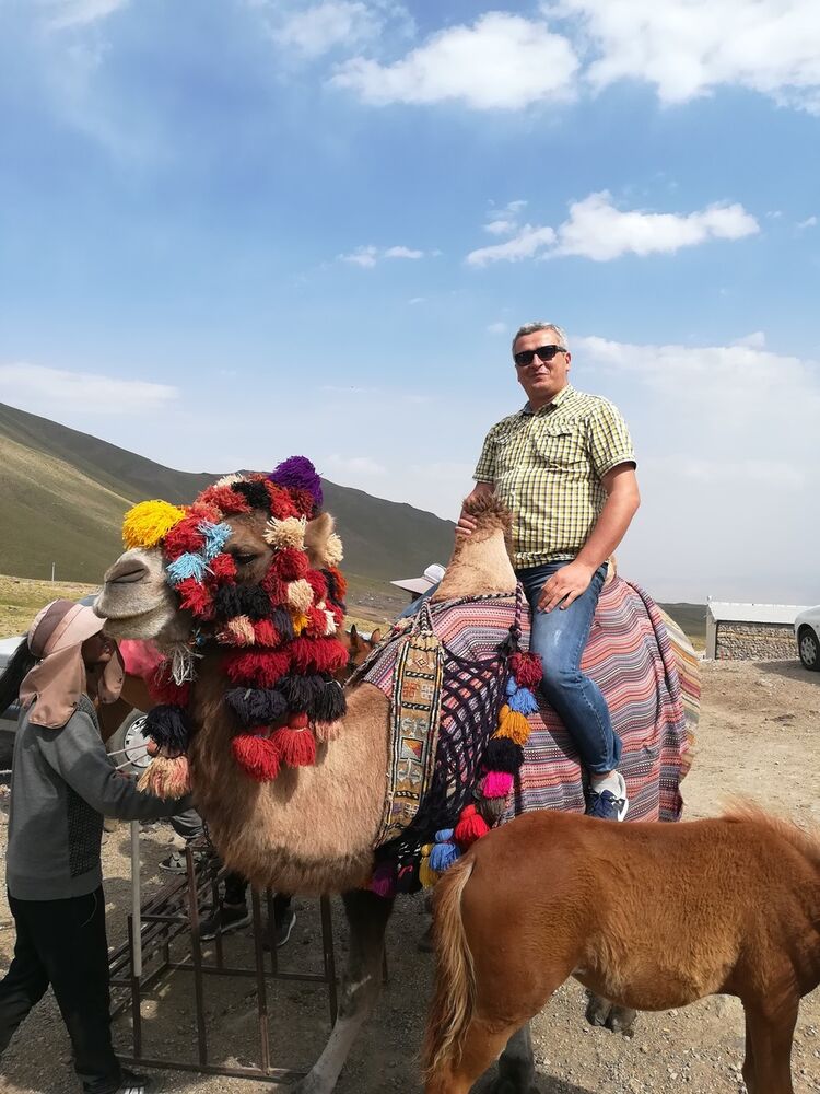 ���� 16538678 ������� Bero, 50 ���, ���� ���������� � �������