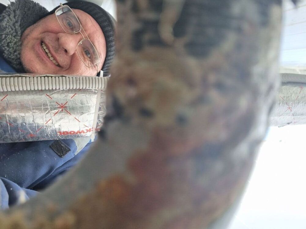 ���� 54459238 ������� ������, 52 ����, ���� ���������� � ������������