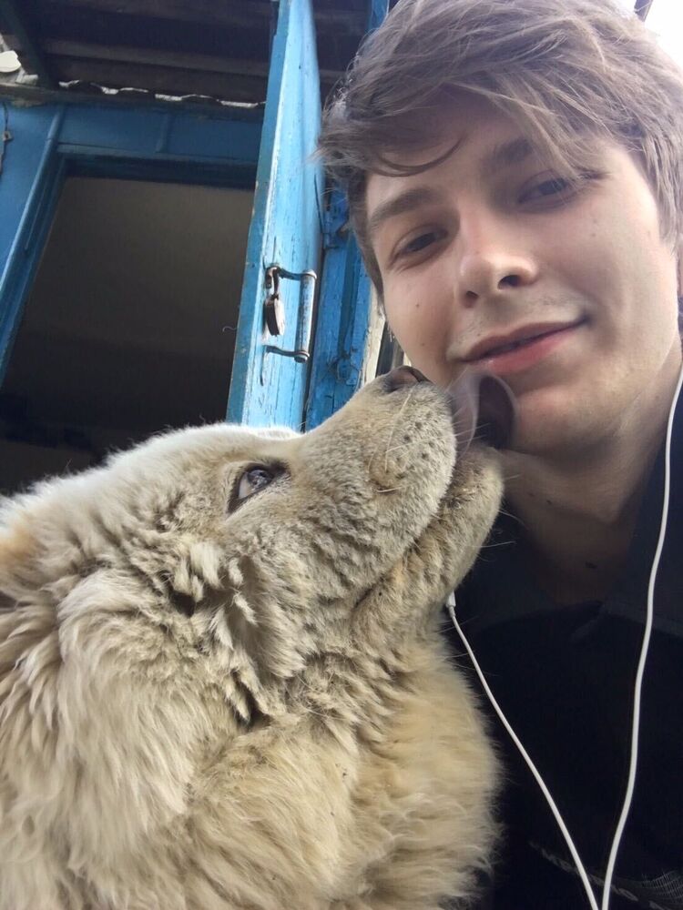 ���� 39662338 ����� �������, 25 ���, ���� ���������� � ��������