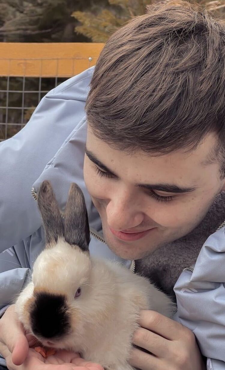 ���������� �����������, ���� ������� ������, 26 ���, ������������ ��� ������, ����� � ���������, c�������� ���������, ���������