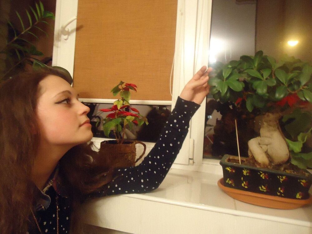 ���� 52563948 ������� ������, 20 ���, ���� ���������� � ����������