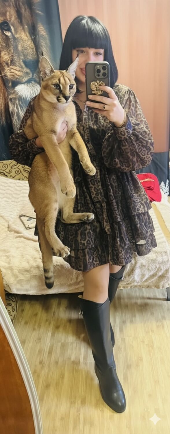 ���������� �������, ���� ������� Ulij, 35 ���, ������������ ��� ������, ����� � ���������