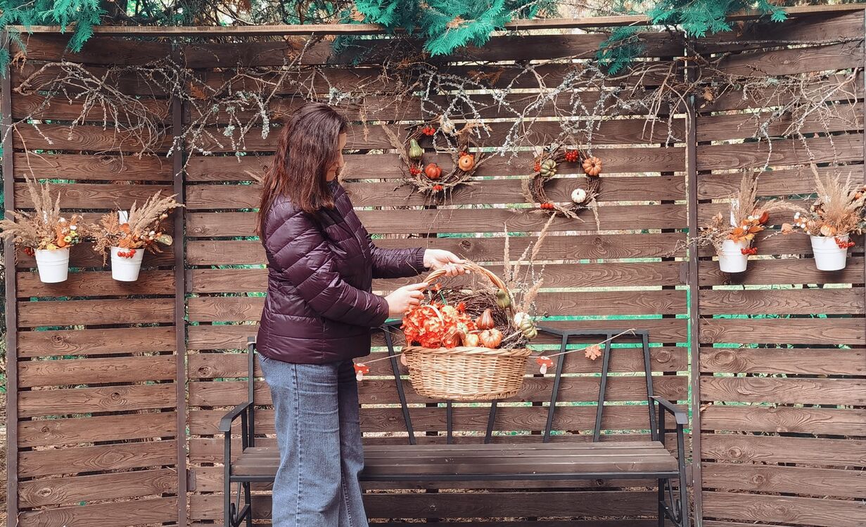 ���� 55028659 ������� �������, 42 ����, ���� ���������� � �������