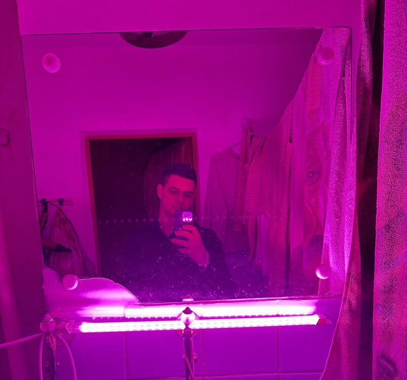  44334278  , 24 ,    