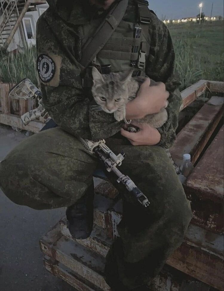 ���� 35485218 ����� ����, 22 ����, ���� ���������� � ������