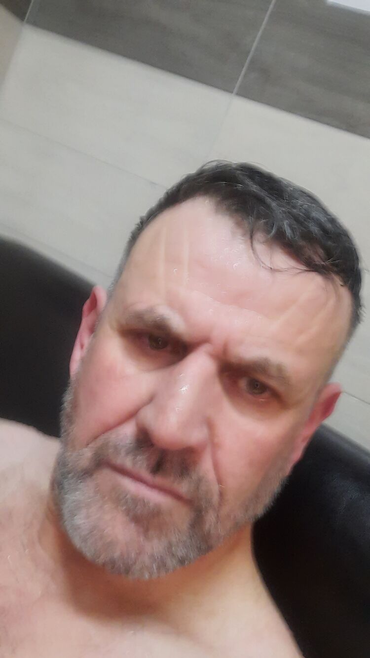 34141548  , 44 ,    