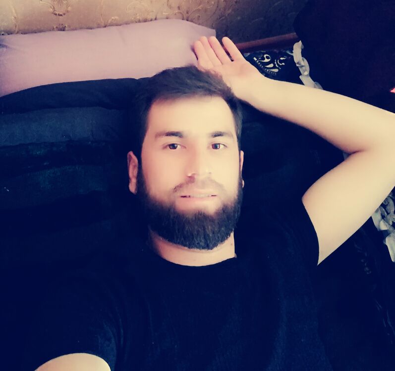  43846938  , 31 ,    