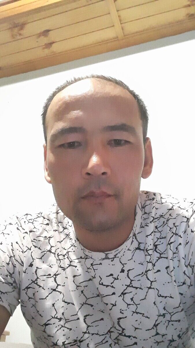  20412538  , 43 ,    --