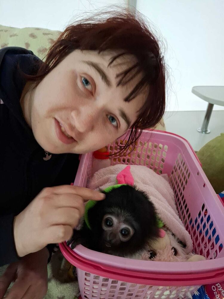 ���� 50527418 ������� Katirina, 38 ���, ���� ���������� � ����������