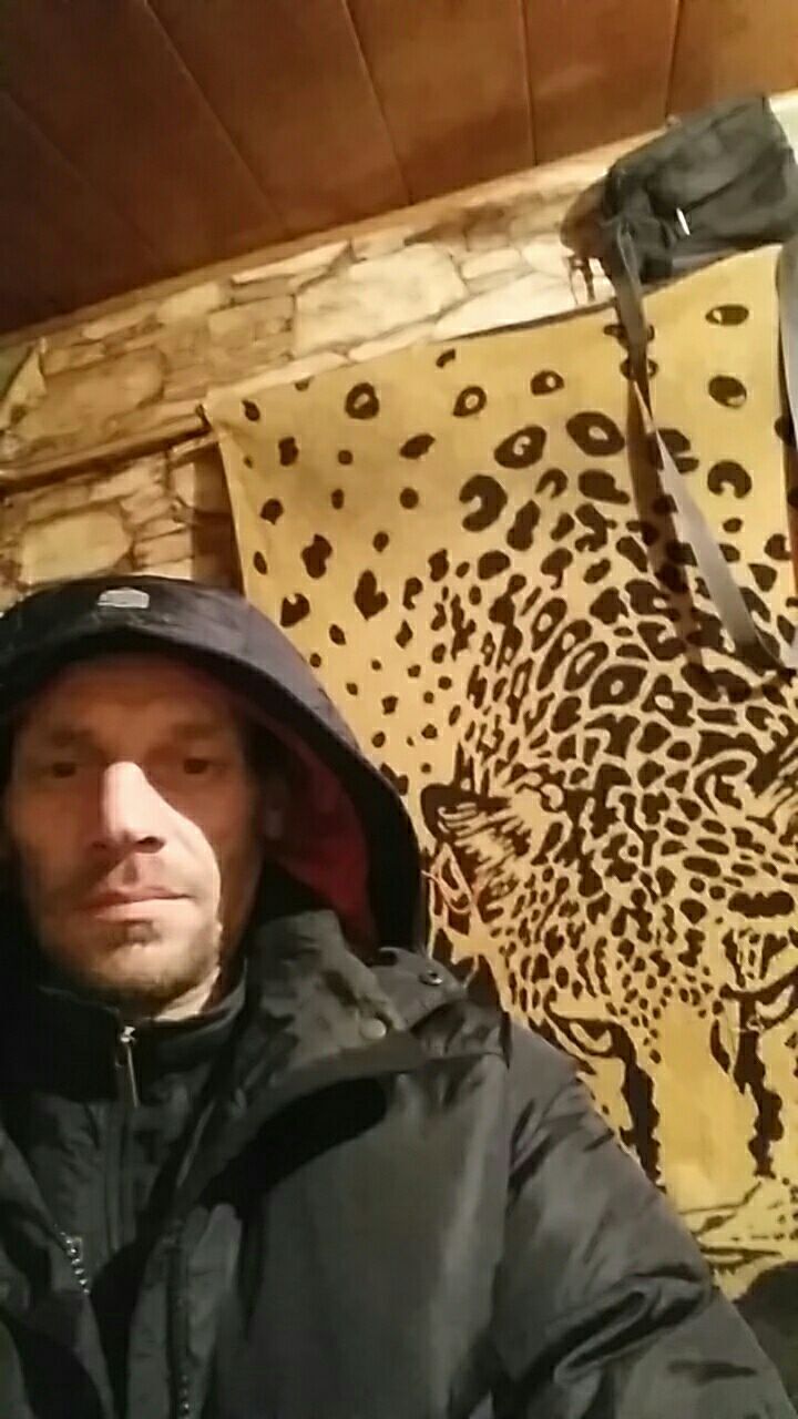  31440678  , 40 ,    