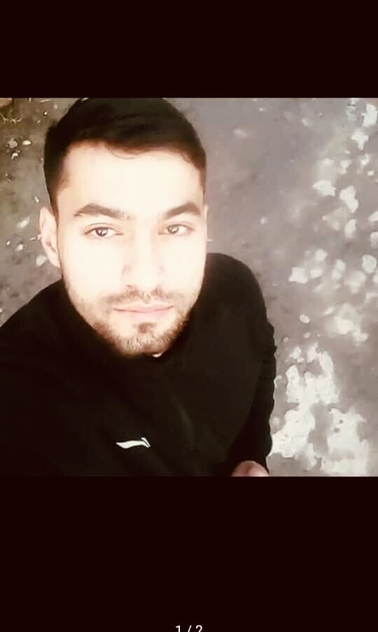  52534878  , 31 ,    