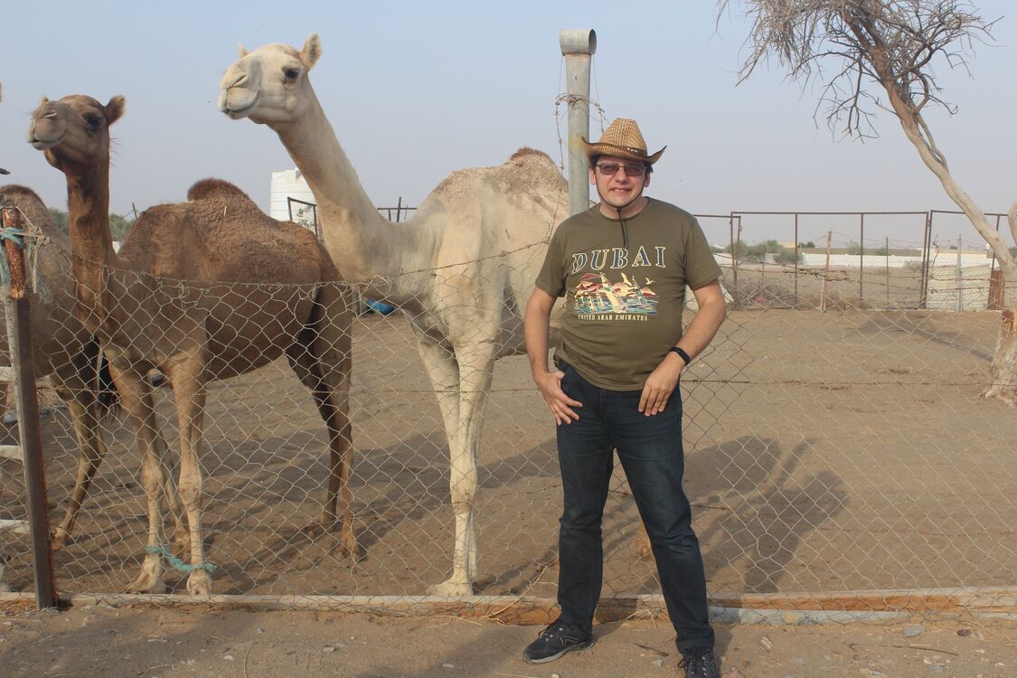  53830008  , 43 ,    -