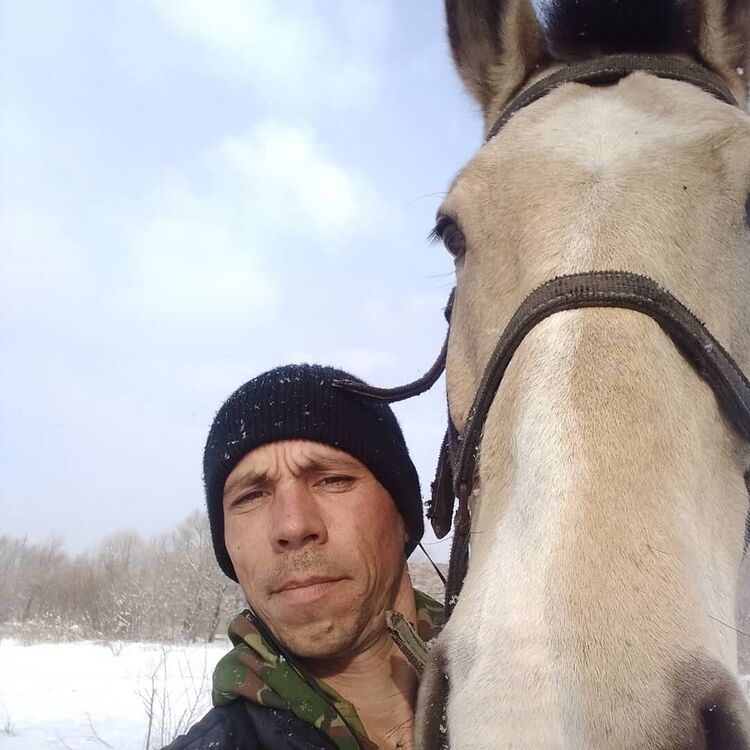 ���������� ���������, ���� ������� ��������, 41 ���, ������������ ��� ������, ����� � ���������