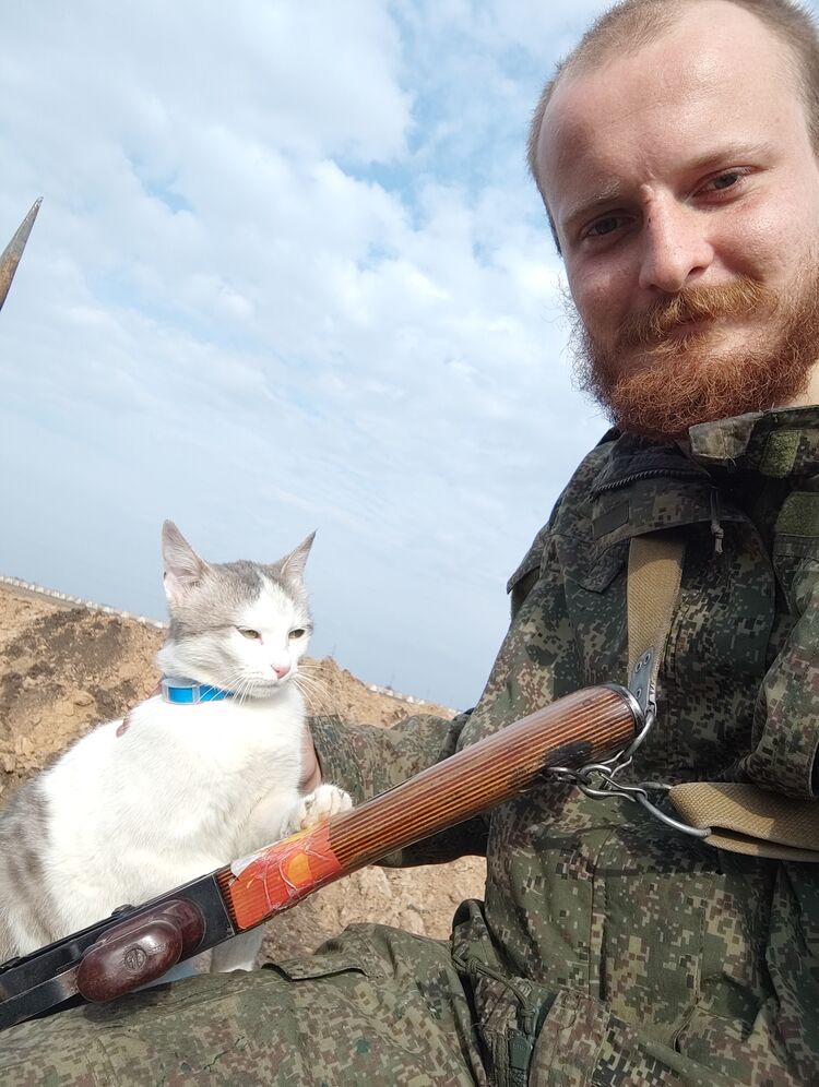 ���������� ������, ���� ������� Ilya, 29 ���, ������������ ��� ������, ����� � ���������, c�������� ���������, ���������