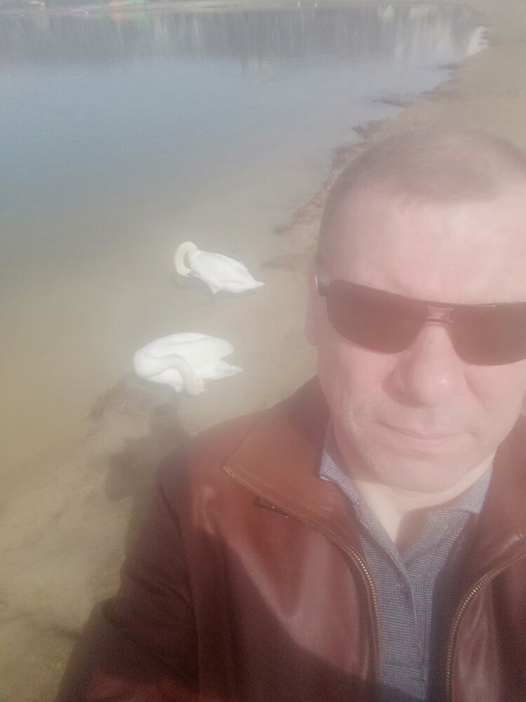 ���� 55621258 ������� ����, 48 ���, ���� ���������� � ����������