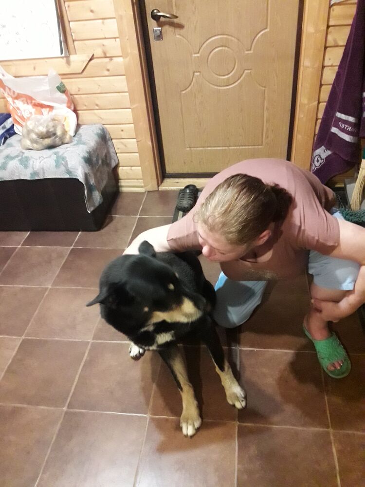 ���������� ������, ���� ������� ������, 44 ����, ������������ ��� ������, ����� � ���������, c�������� ���������