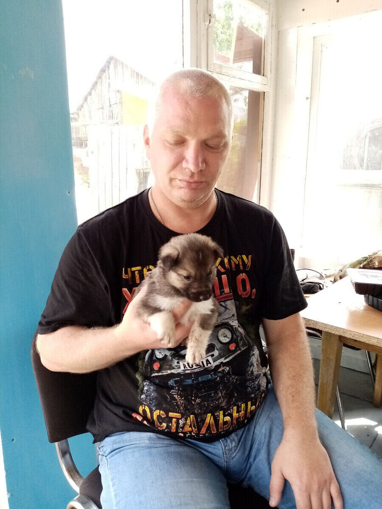 ���� 21379938 ������� �����, 43 ����, ���� ���������� � �����