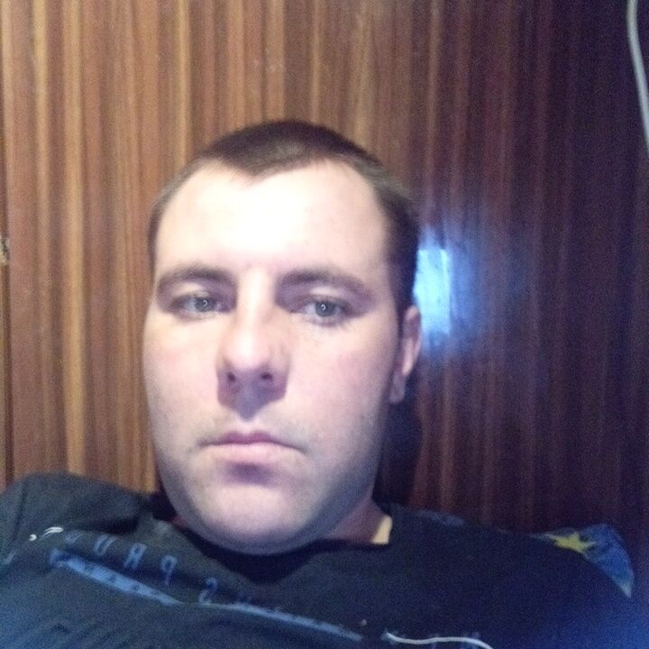  41383568  , 31 ,    