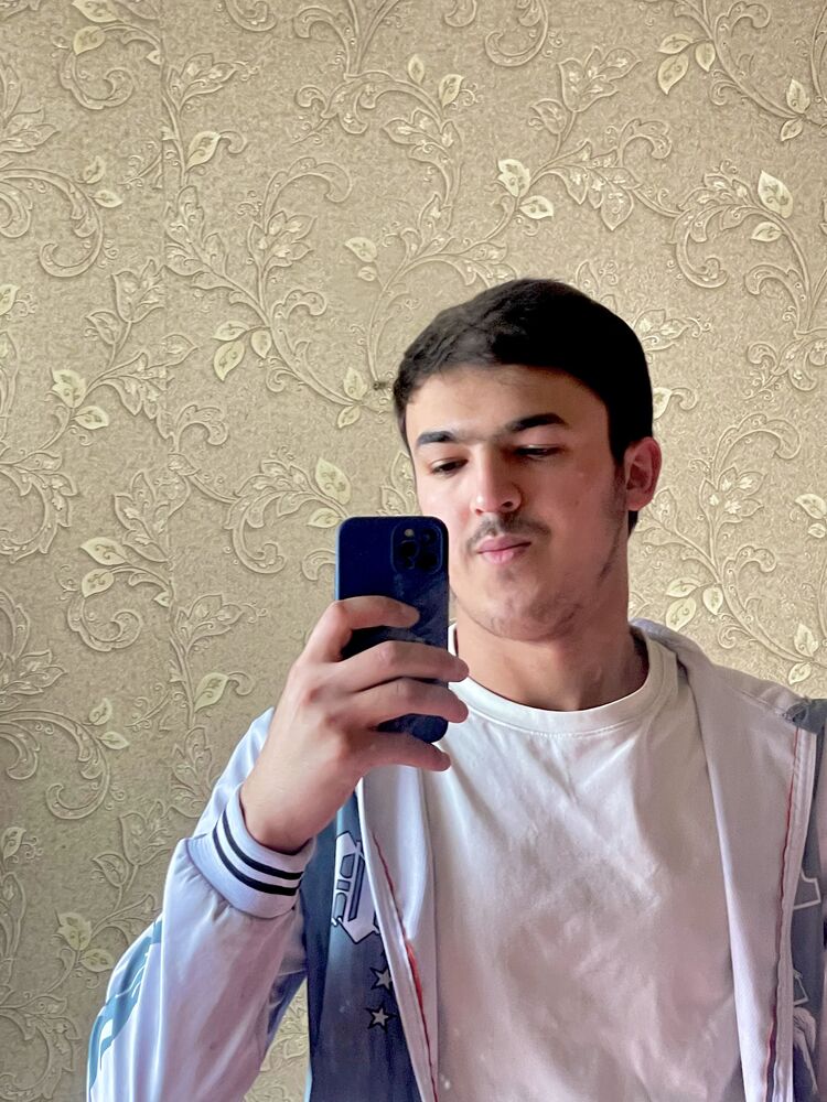  53562398  , 24 ,    