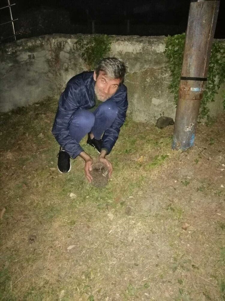  ,   , 50 ,   ,   , c 