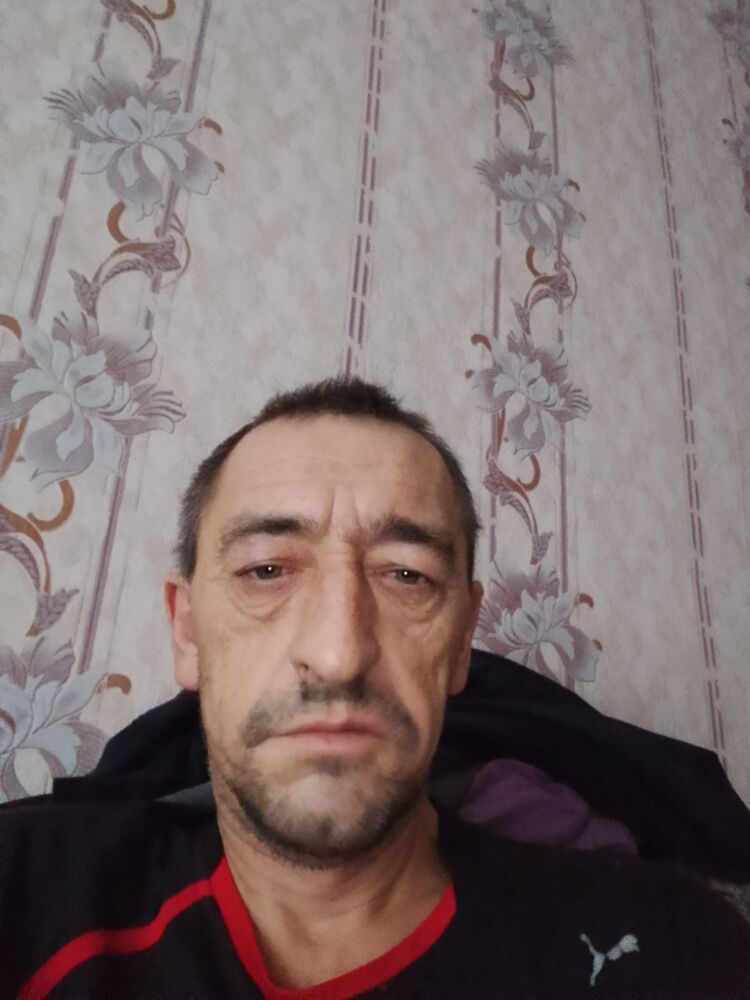  48092658  , 44 ,    