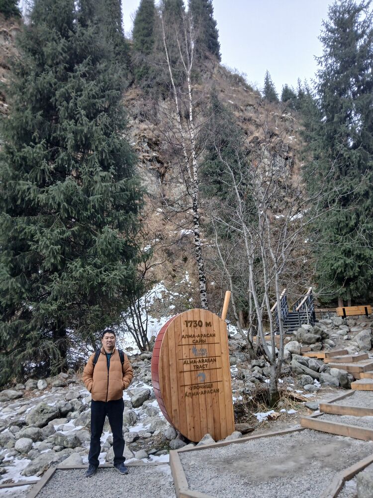 ���� 56113358 ������� �� �, 41 ���, ���� ���������� � ������