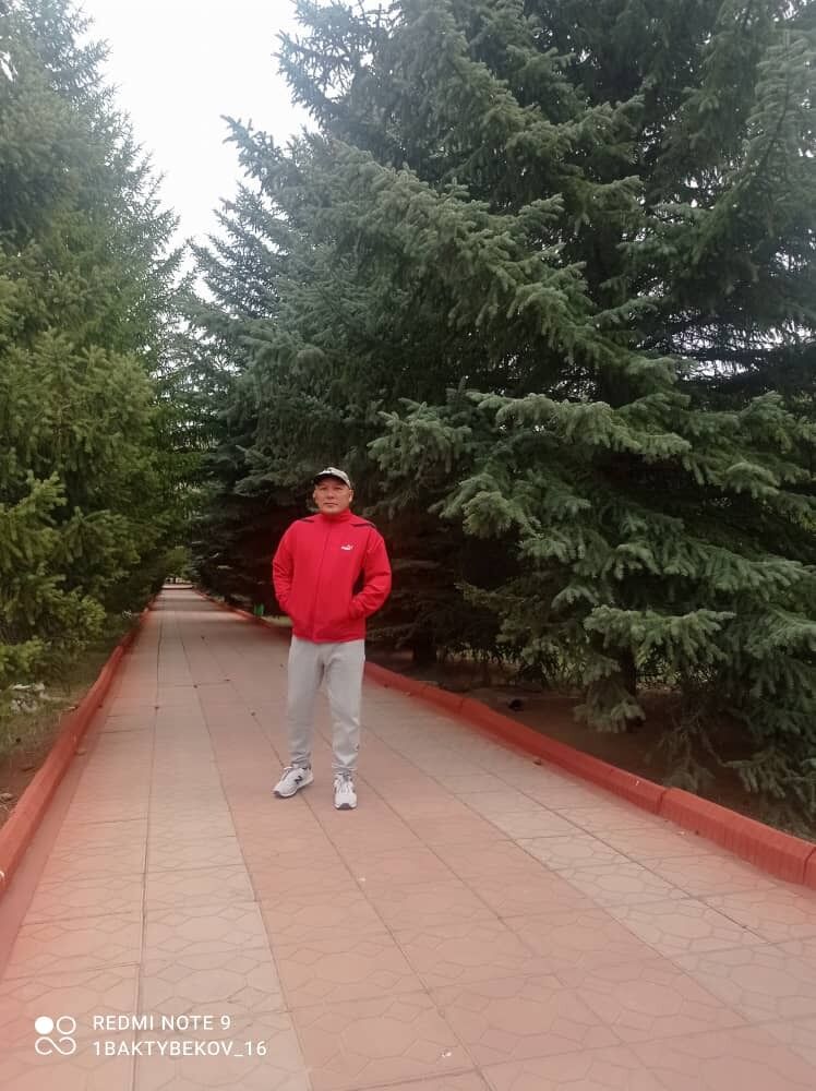  48809178  , 38 ,    