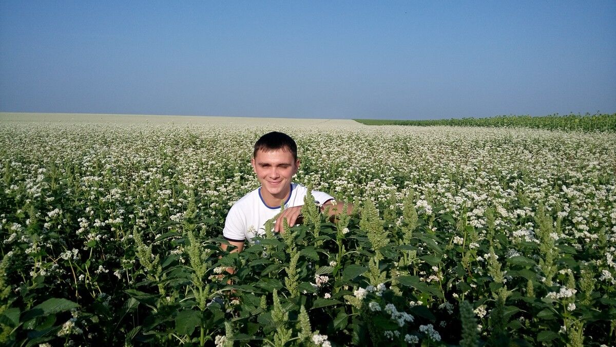 ���������� ��������, ���� ������� ���������, 38 ���, ������������ ��� ������, ����� � ���������, c�������� ���������