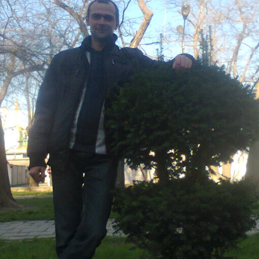  ,   , 41 ,   