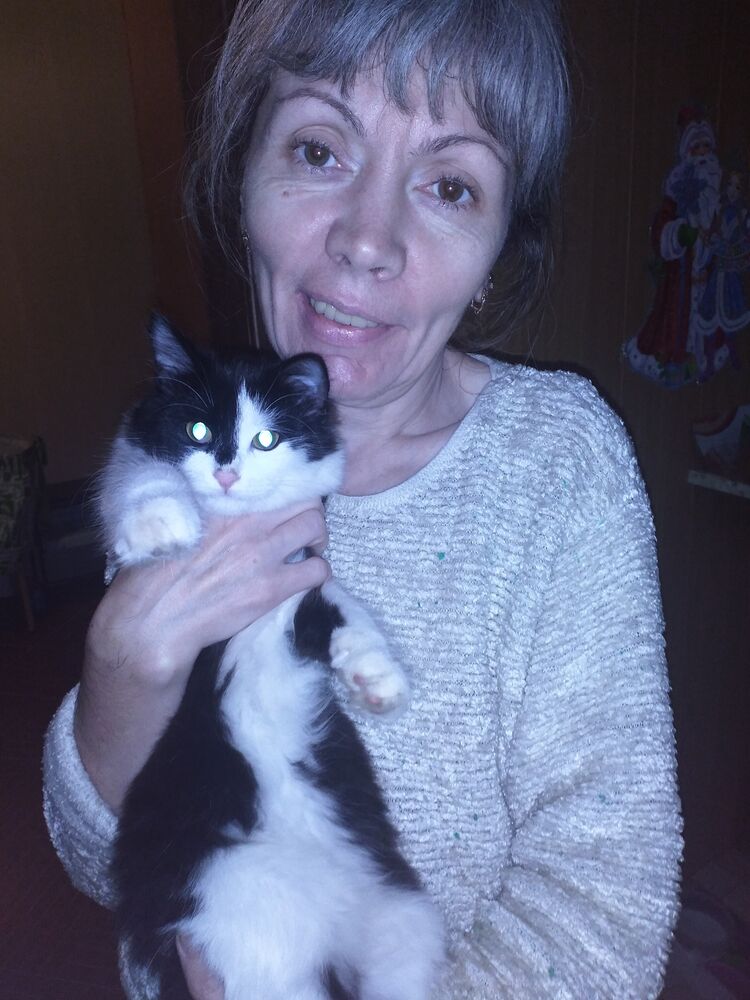 ���������� ������, ���� ������� ��������, 56 ���, ������������ ��� c�������� ���������