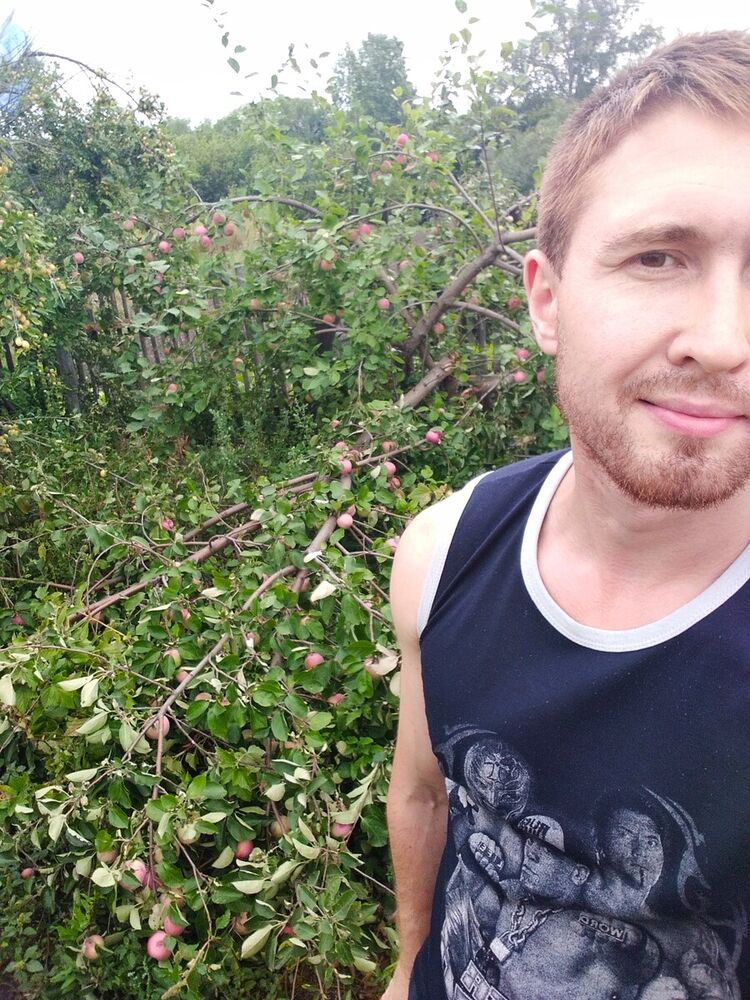 ���� 21332608 ������� Seg, 36 ���, ���� ���������� � ������